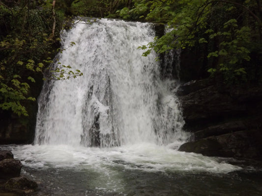Powerful waterfall cascading into rocky pool surrounded by lush green forest