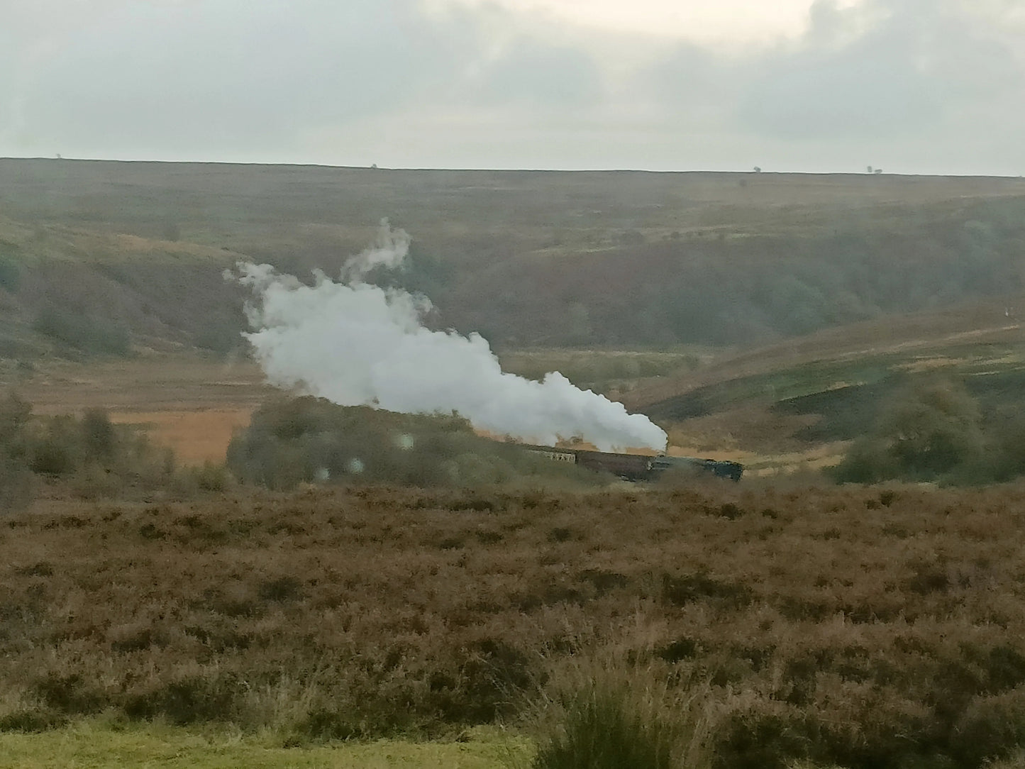 Vintage steam train emitting white smoke through moorland landscape in British countryside