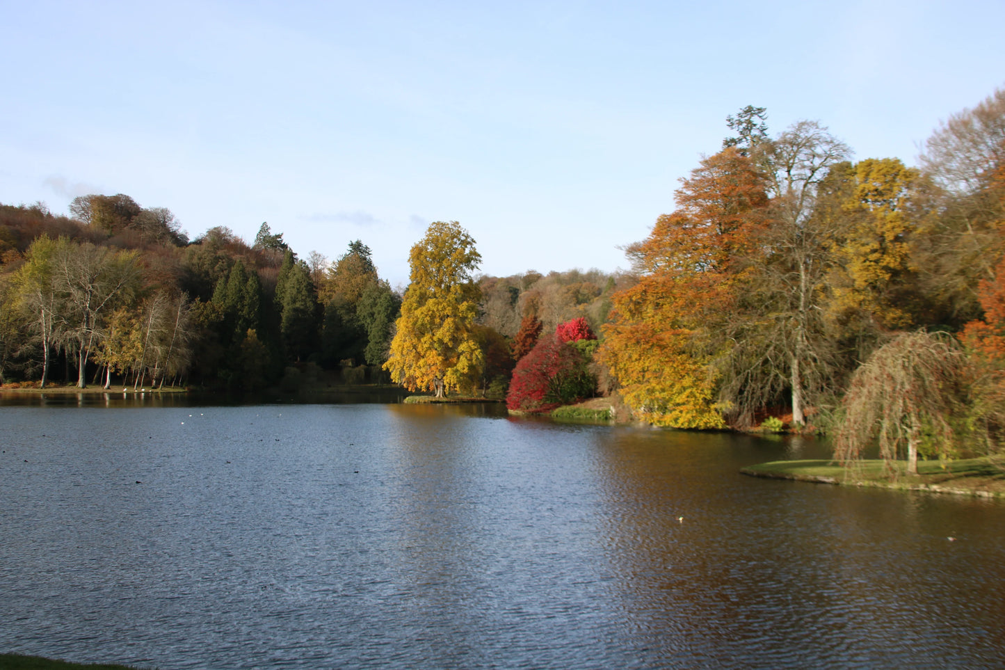 Scenic lake surrounded by autumn trees with yellow, orange, and red foliage under clear blue sky