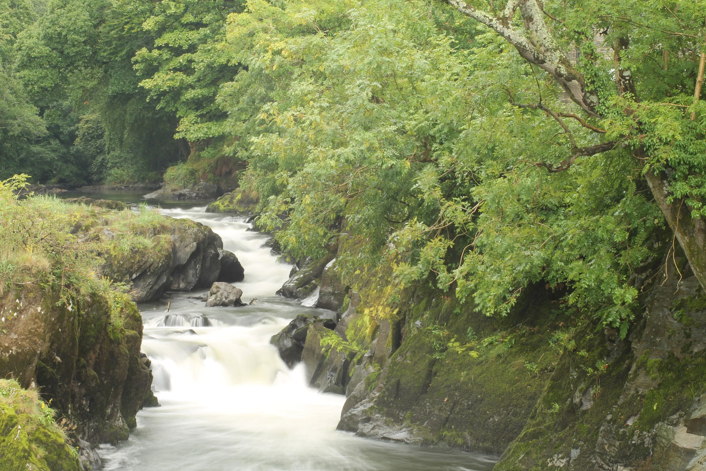 Cenarth Falls Wales Photography Prints