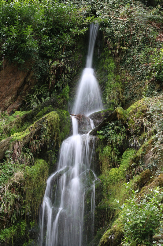 Multi-tiered waterfall cascading over moss-covered rocks surrounded by lush green foliage