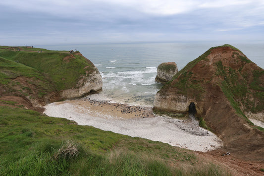 British coastal cliffs with green grass, rocky beach with seals, and cloudy sky over sea