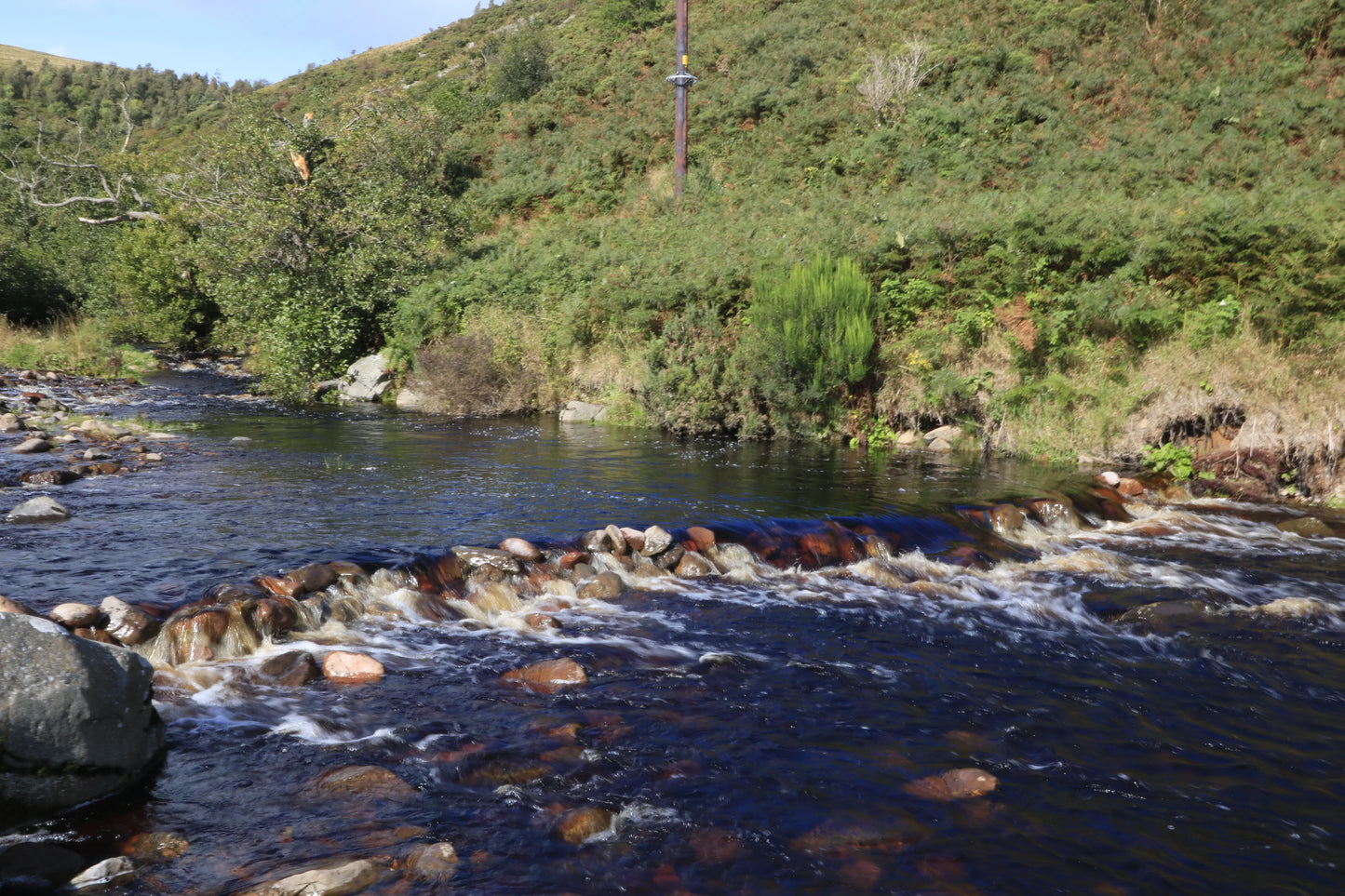 Clear stream with small cascading waterfall over rocks near green hillside and trees
