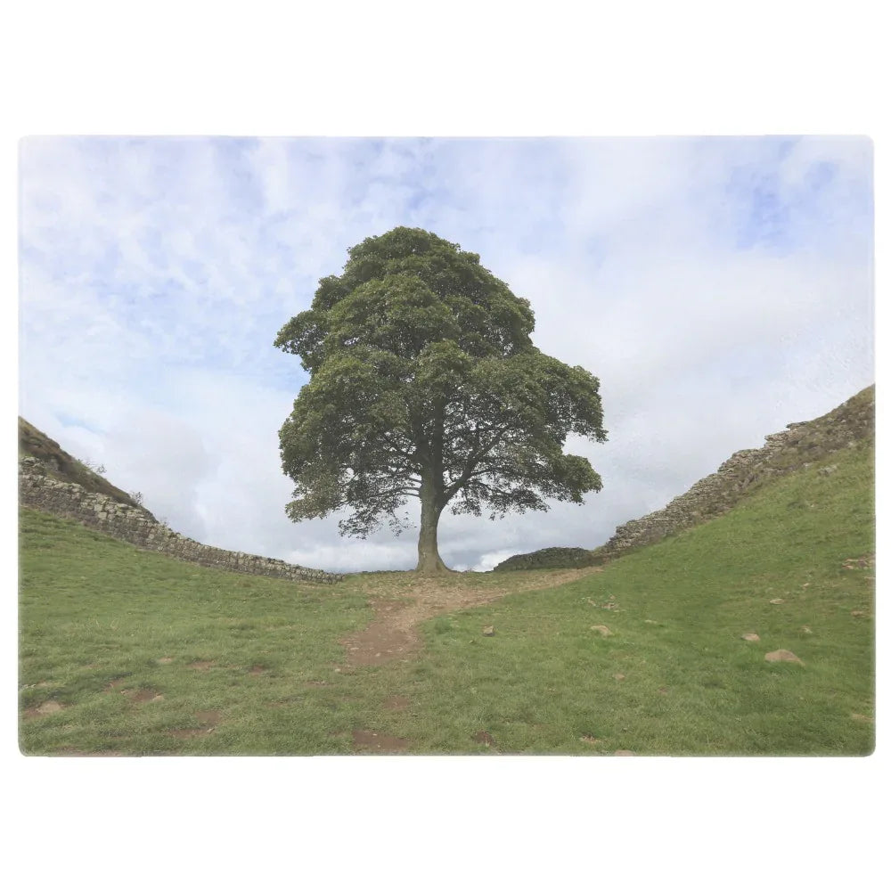 Glass chopping board with Sycamore Gap tree and Hadrian's Wall landscape in the UK