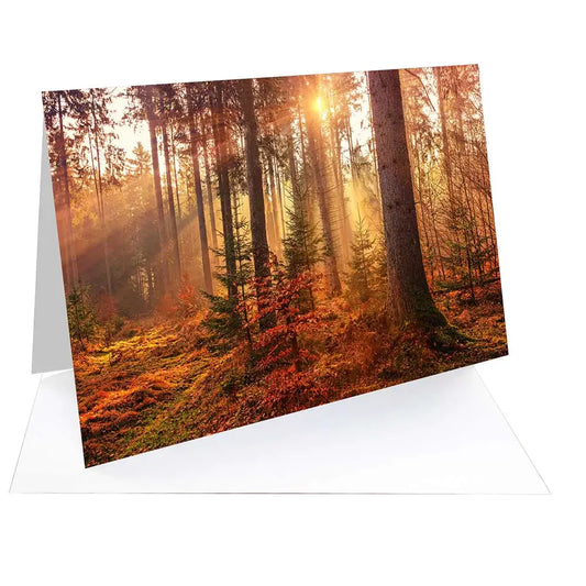 Greeting card featuring a golden autumn forest with sun rays filtering through tall trees