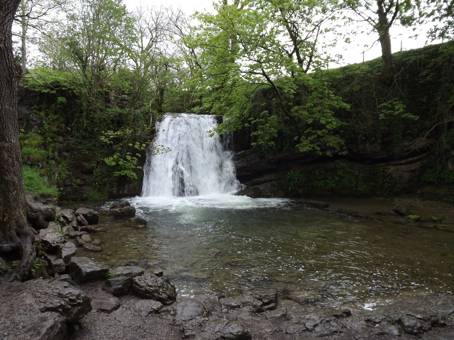 Scottish landscape with waterfall flowing into a rocky pool surrounded by green trees and mossy cliffs