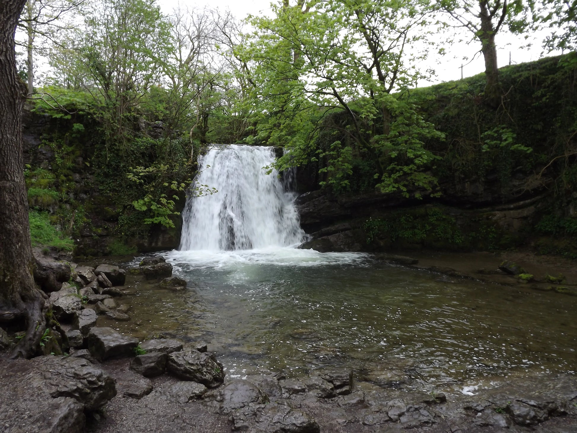 Scottish landscape with waterfall flowing into a rocky pool surrounded by green trees and mossy cliffs