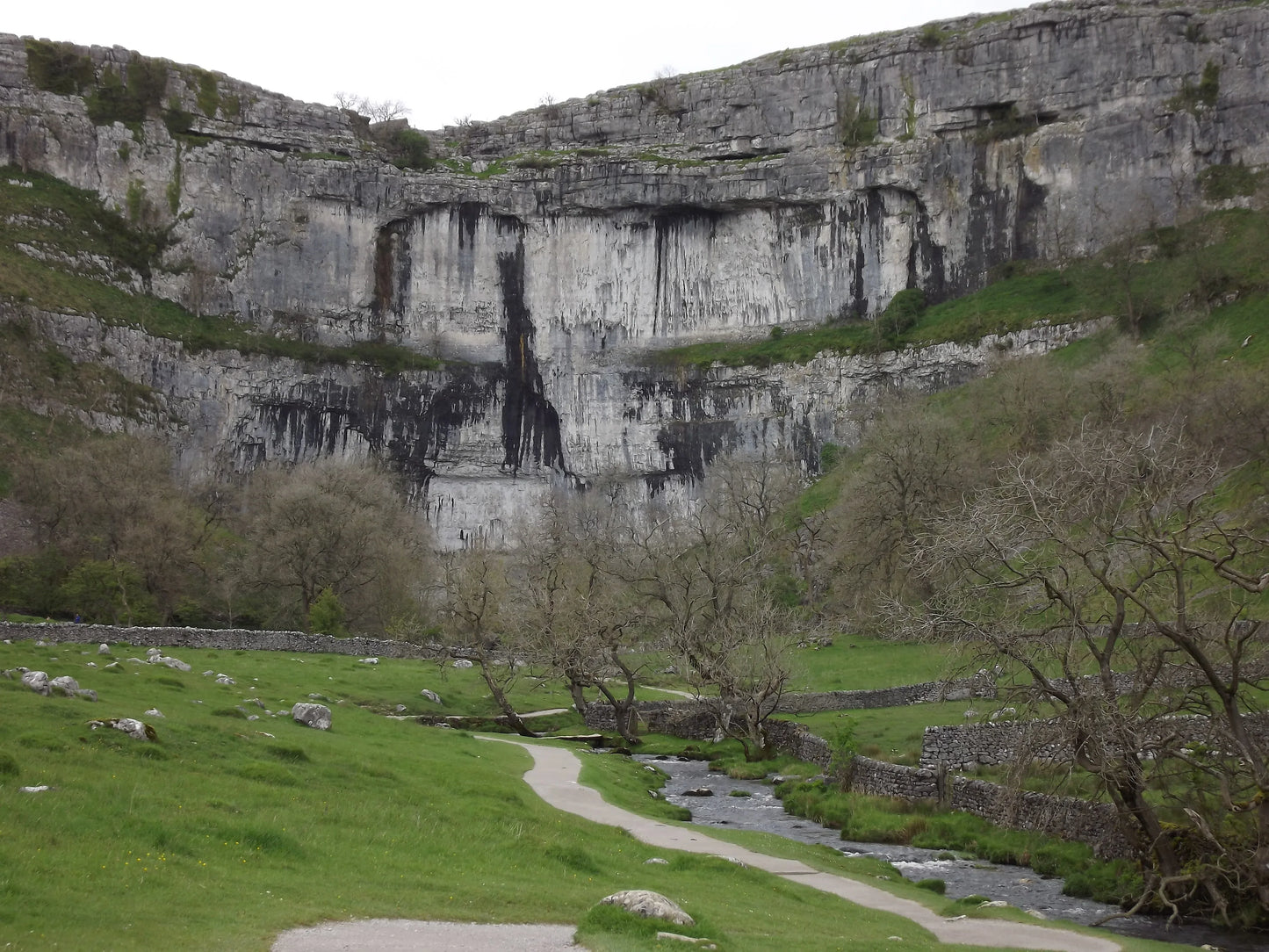 Limestone cliff with black streaks above green meadow, bare trees, and a winding stream path