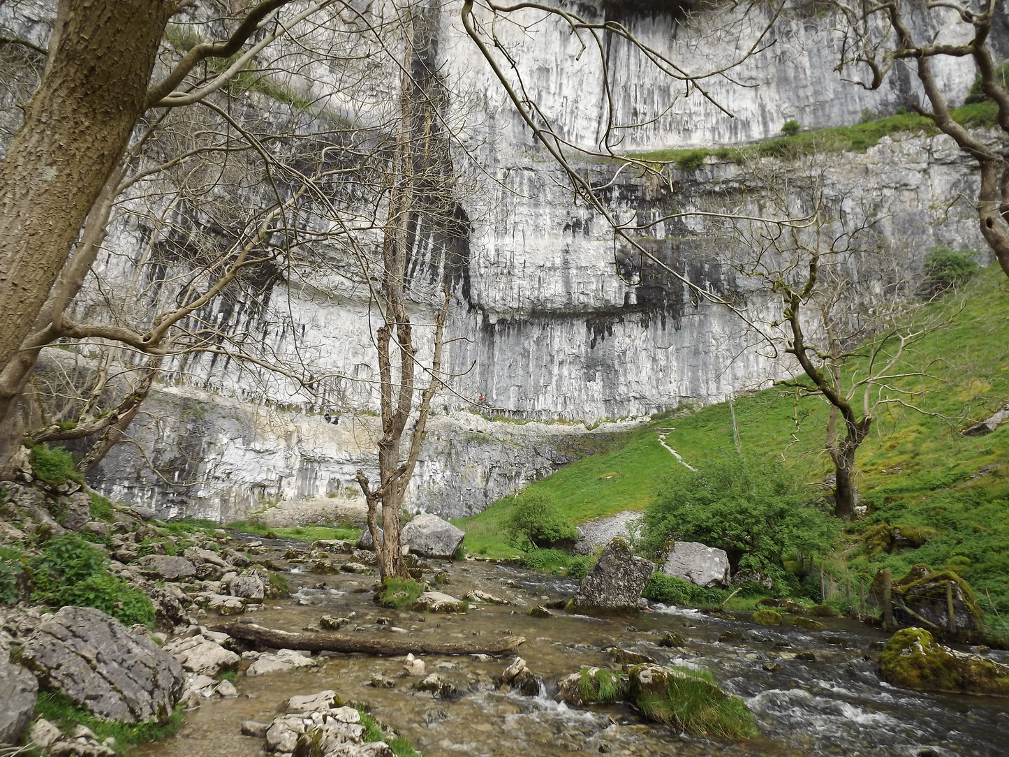 British limestone cliff with a flowing stream, leafless trees, green grass, and rocky terrain