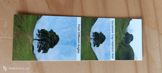 Bookmarks featuring a sycamore tree at Sycamore Gap near Hadrian's Wall in green landscape under blue sky