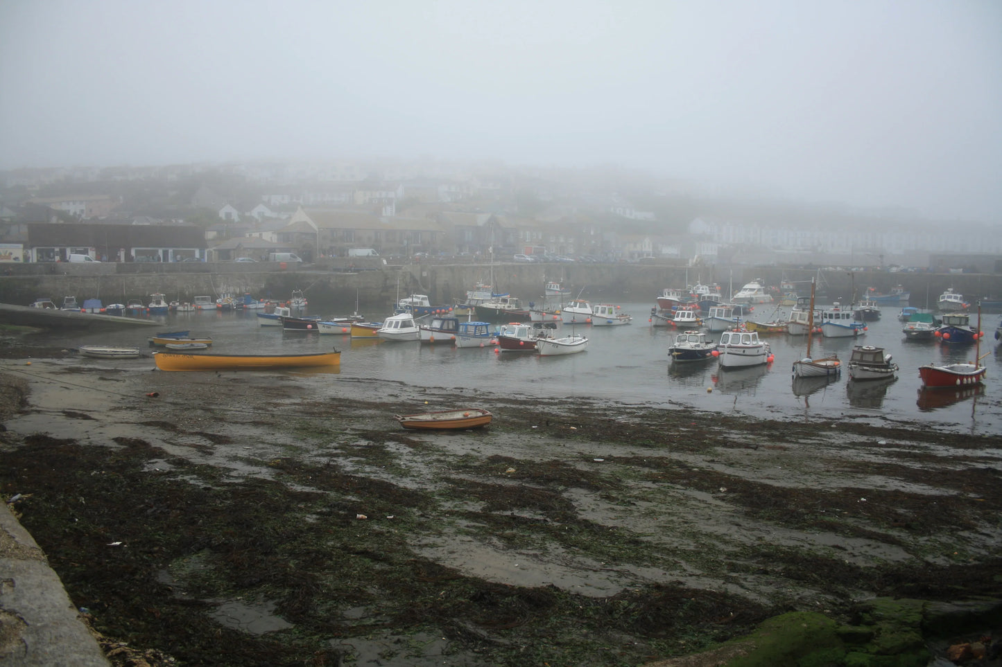 Foggy harbor with numerous small fishing boats and seaweed-covered shoreline