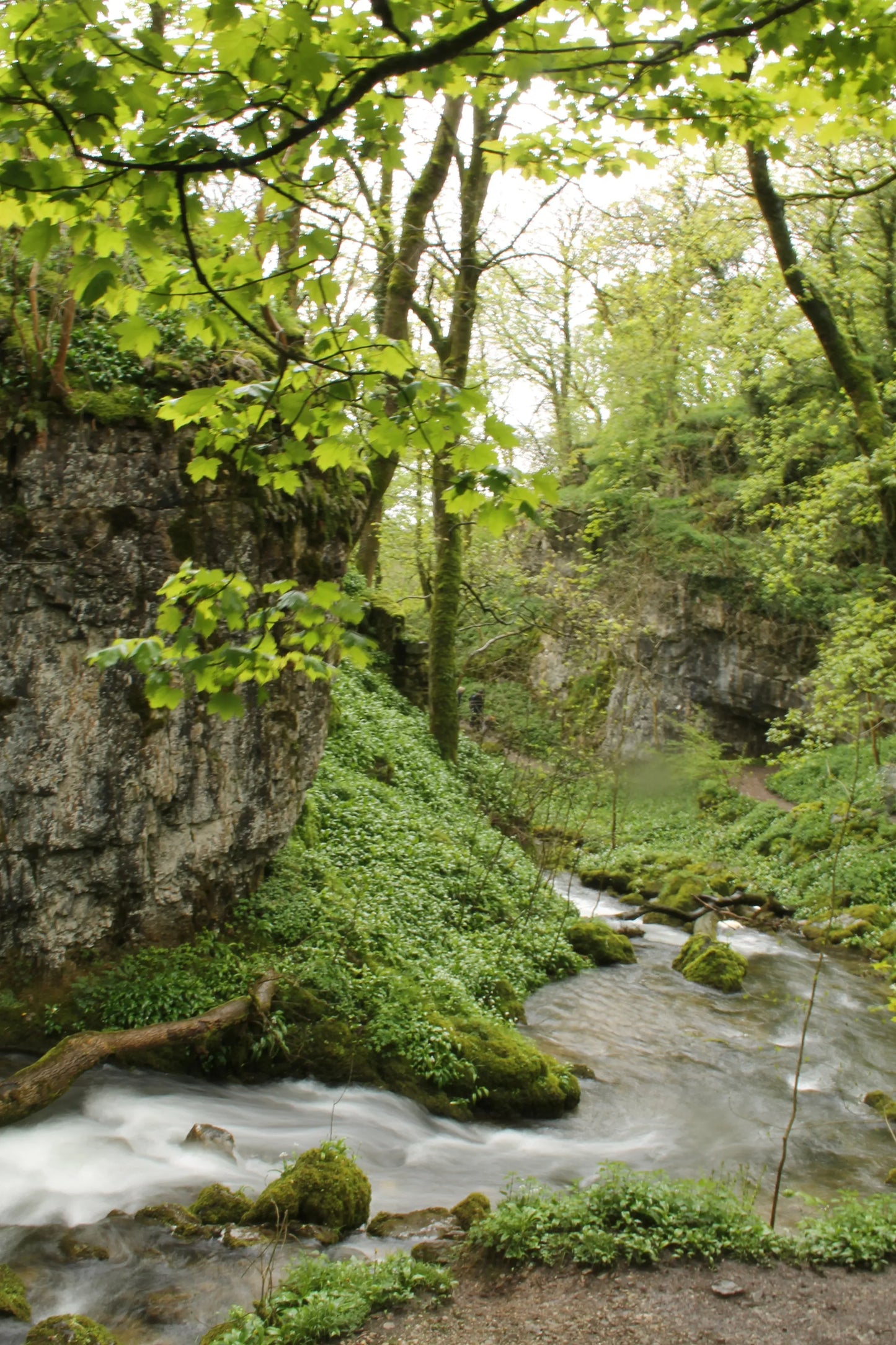 Janet's Foss Waterfall Yorkshire Dales Photography Prints