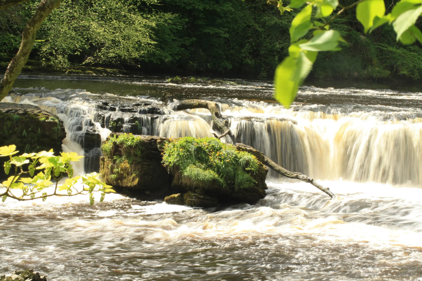 British landscape featuring a flowing river waterfall over rocks with green foliage and sunlight