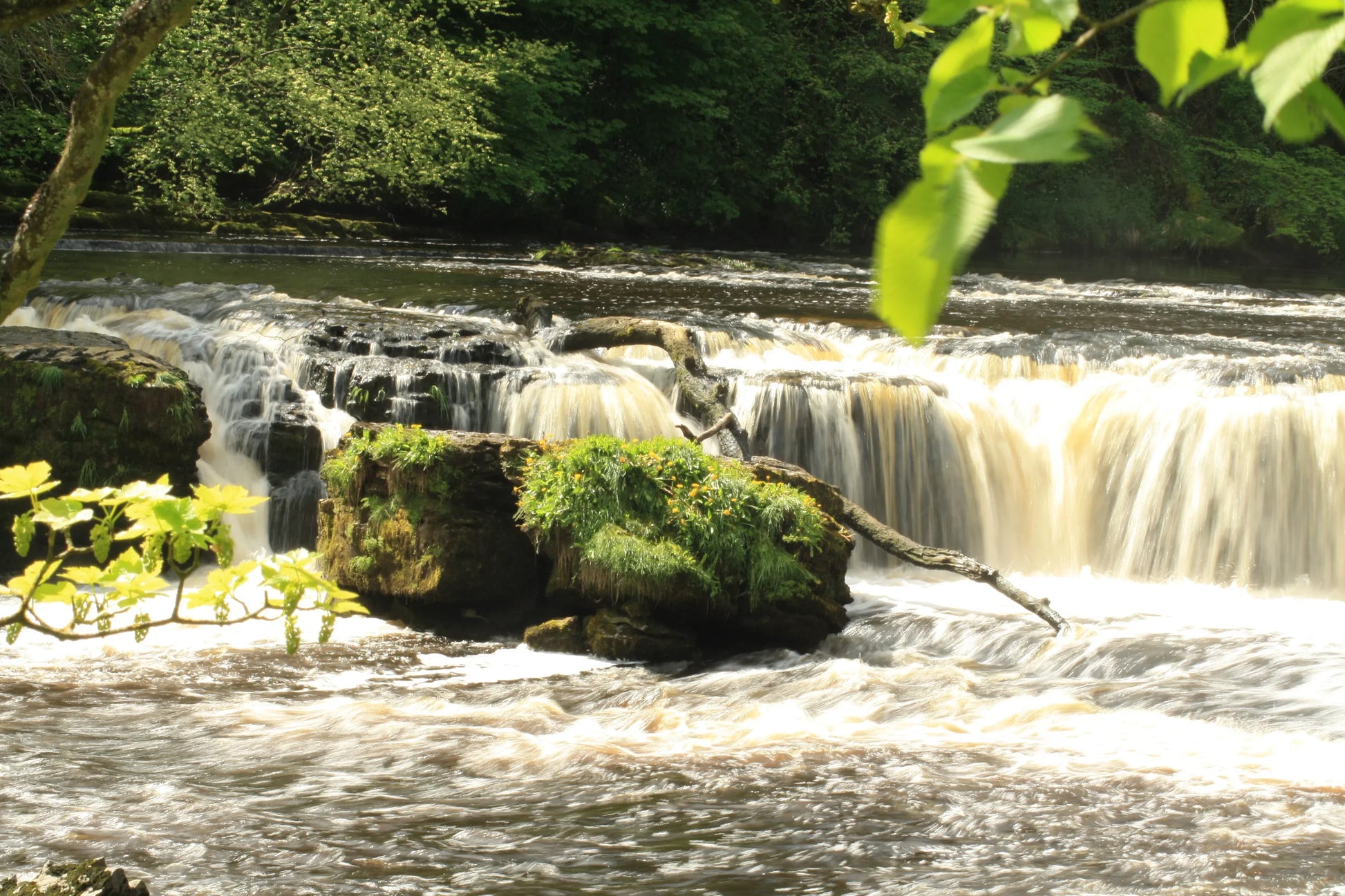 British landscape featuring a flowing river waterfall over rocks with green foliage and sunlight