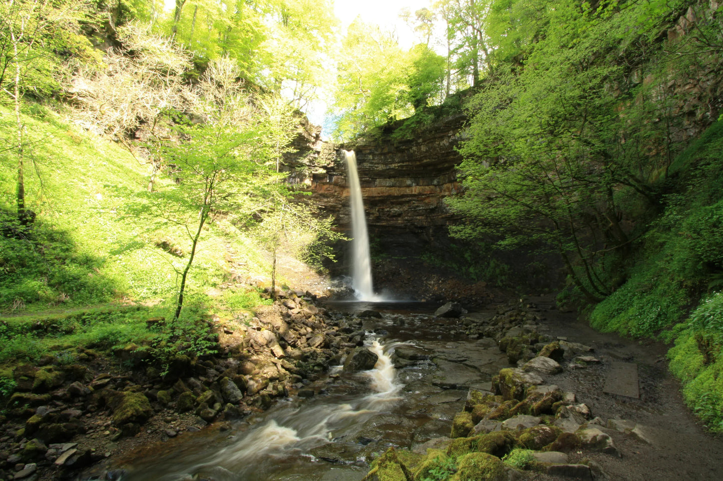 Waterfall cascading into rocky stream surrounded by lush green trees and mossy forest path