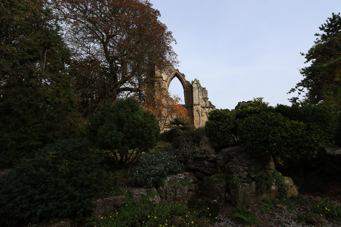 Historic stone arch ruins surrounded by dense green and autumnal trees and shrubs under a clear sky