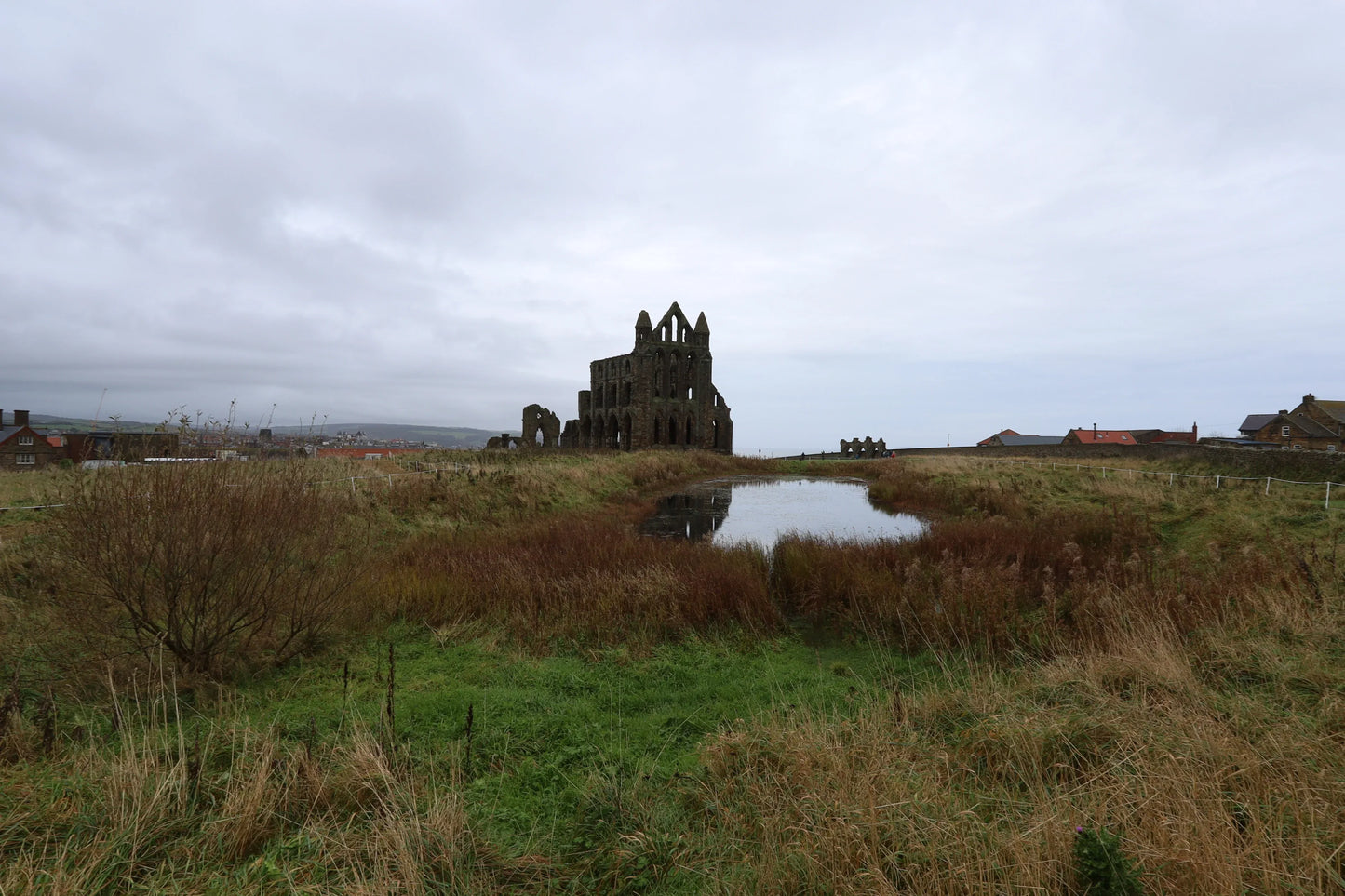 Ruins of a historic stone abbey near a reflective pond surrounded by grassy fields in overcast British landscape