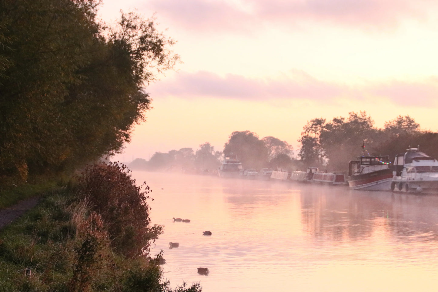 Misty sunrise over calm river with moored boats and ducks near tree-lined bank in British landscape