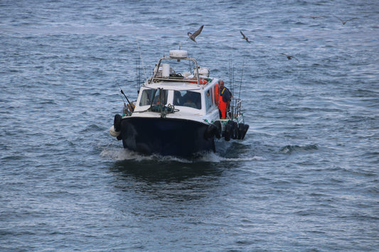 Fishing boat with man in orange overalls on ocean surrounded by flying seagulls