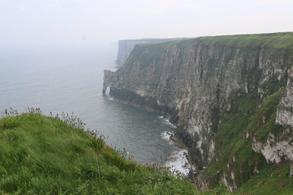 Bempton Cliffs Yorkshire Photography Print