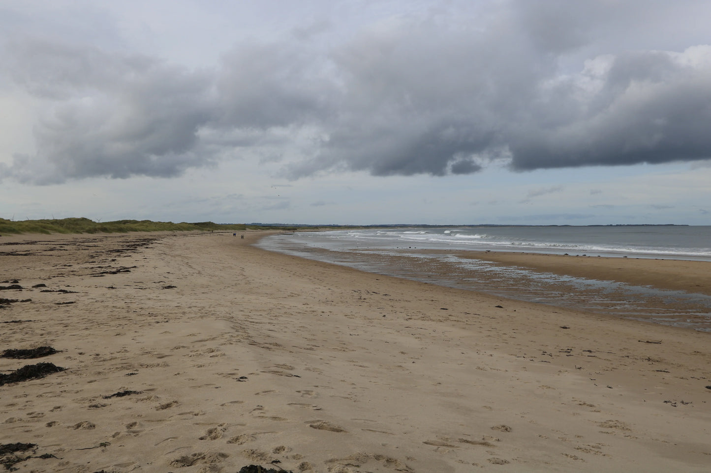 Wide sandy beach with scattered seaweed, grassy dunes, and cloudy sky over calm ocean waves