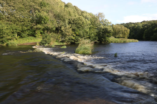 River flowing over a small waterfall surrounded by dense green trees under a blue sky