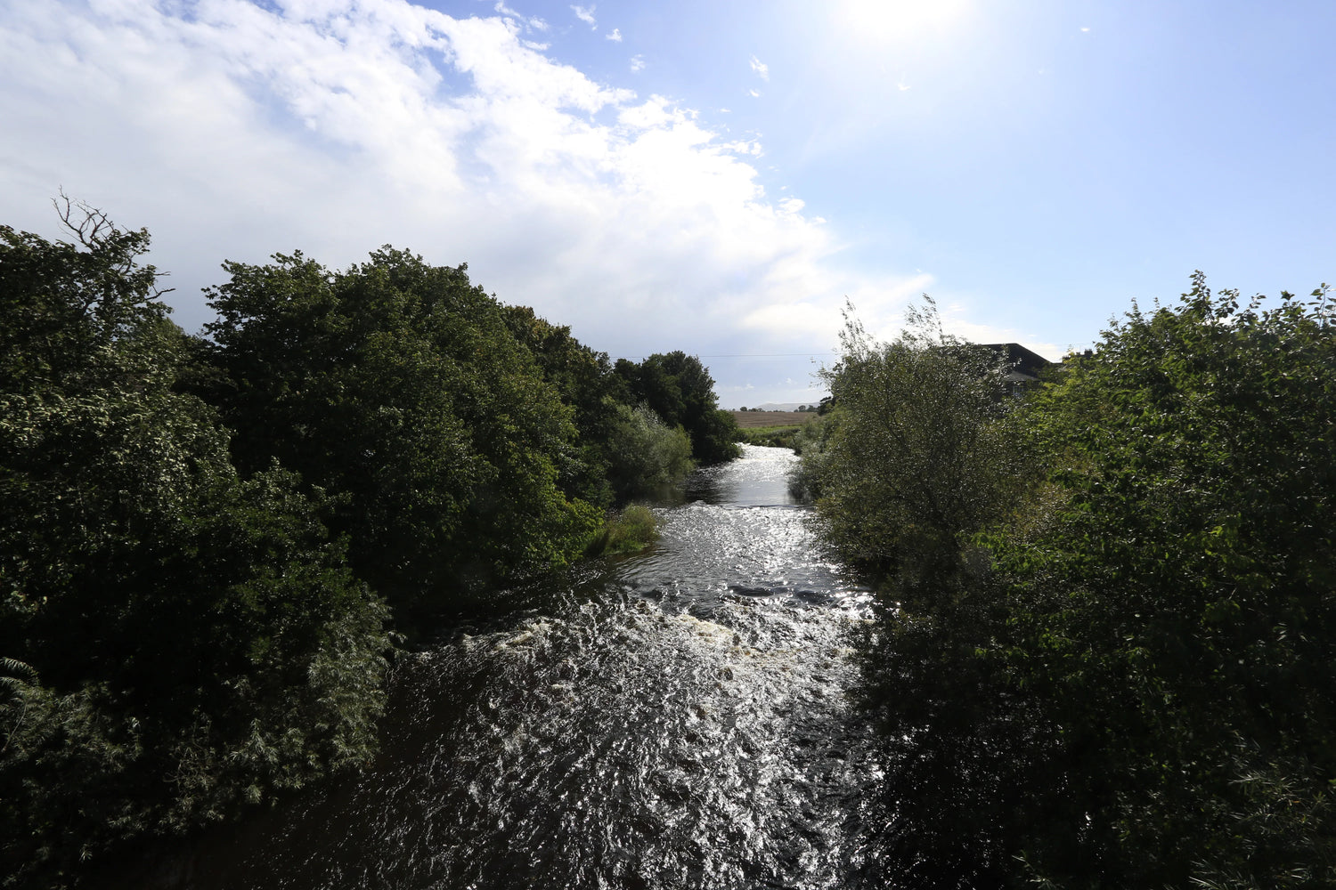 Sunlit flowing river surrounded by dense green trees under partly cloudy sky