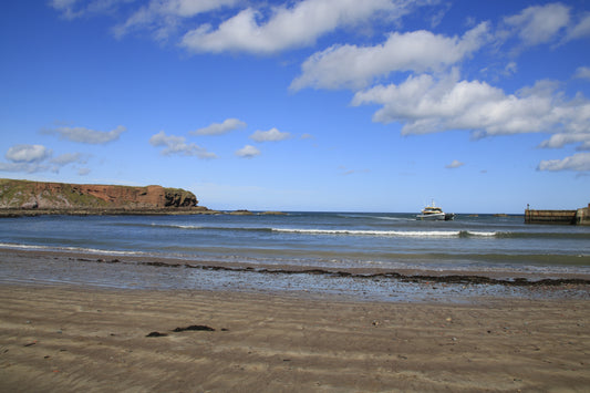 "Eyemouth Harbour fishing boats moored in calm waters with colorful houses on hillside, Scottish Borders"
