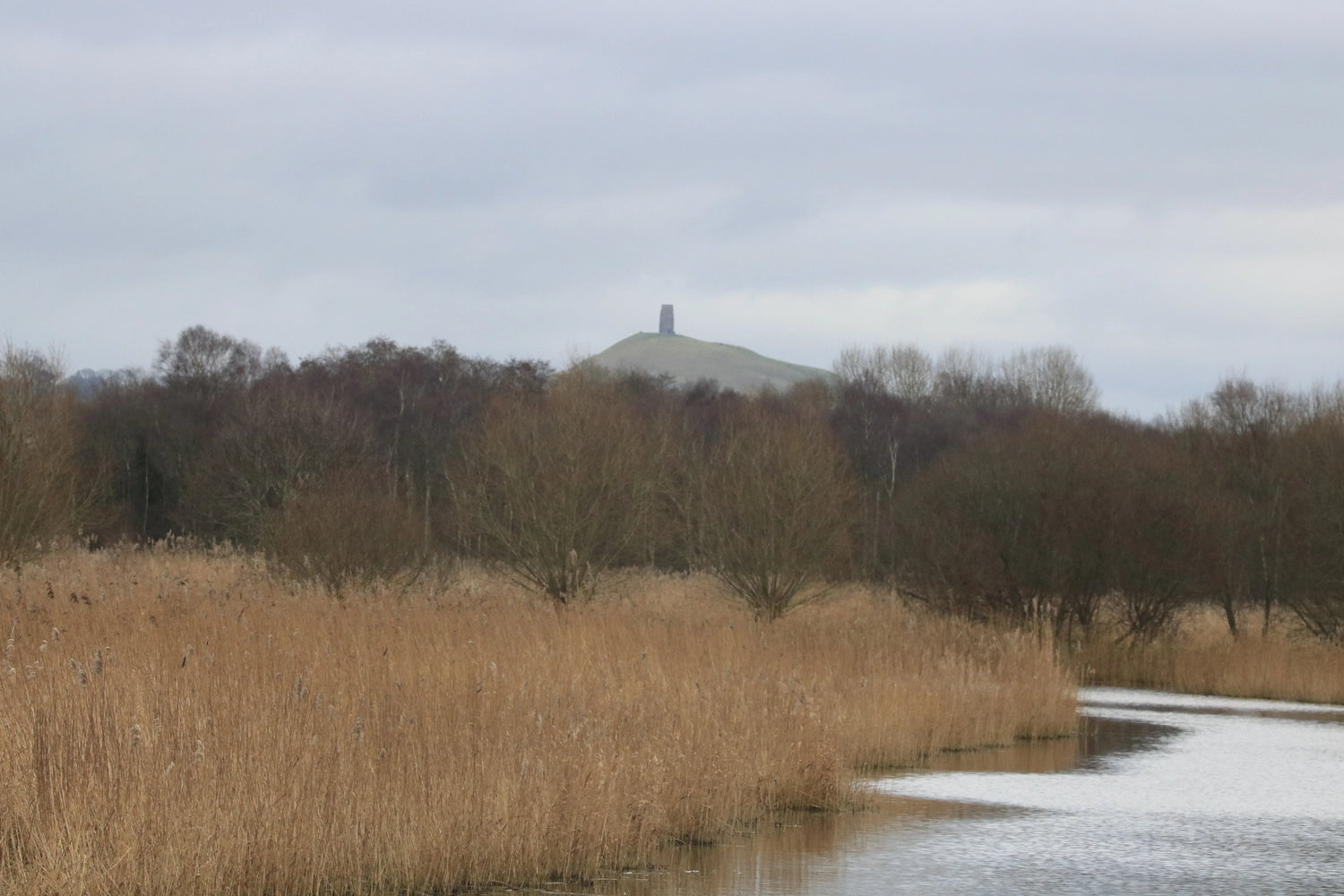 River winding through brown reed beds with woodland and a hill topped by a tower in the distance
