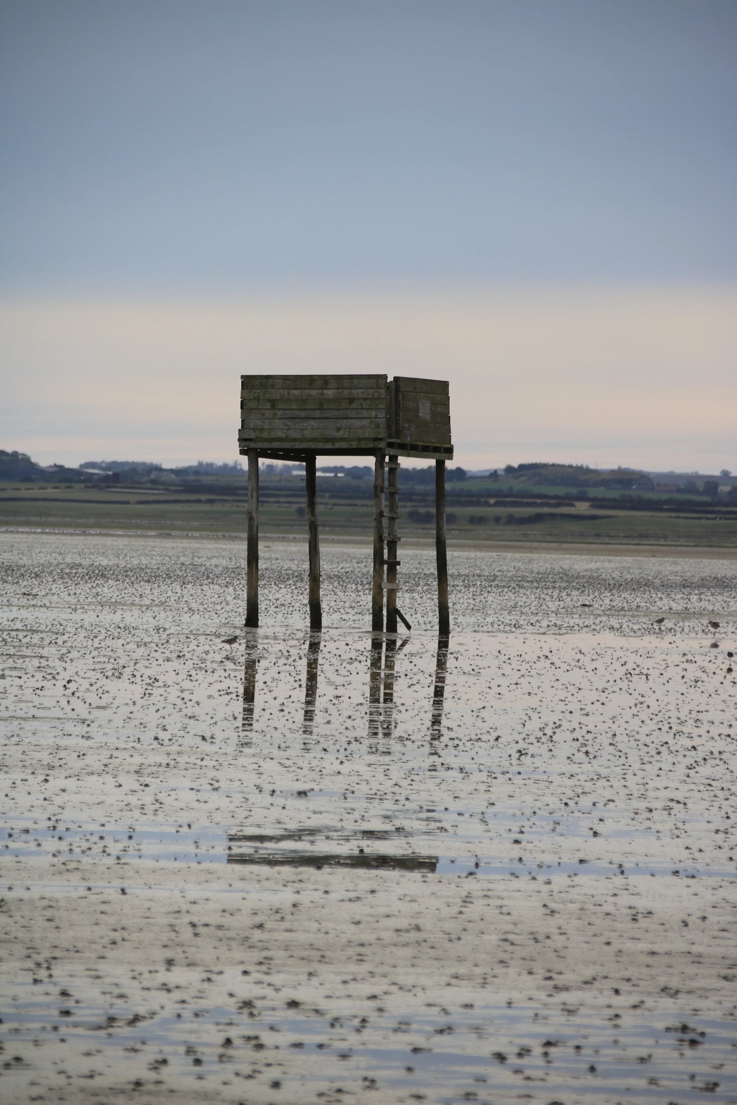 Wooden birdwatching hide on stilts reflected in tidal mudflats at Lindisfarne Pilgrim Way, Northumberland