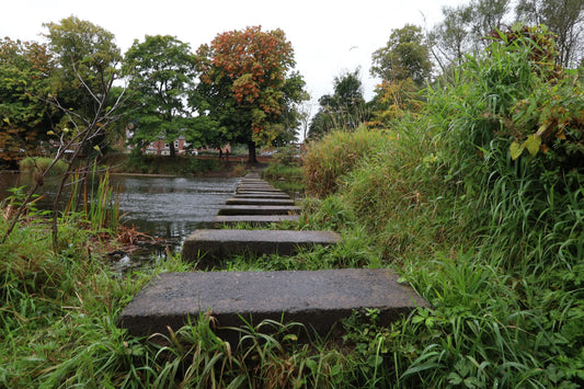 Morpeth stepping stones crossing a river in Northumberland surrounded by green and autumnal foliage