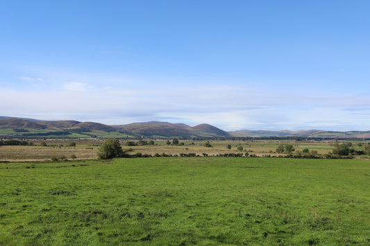 Northumberland landscape with green fields and the Cheviot Hills under clear blue sky