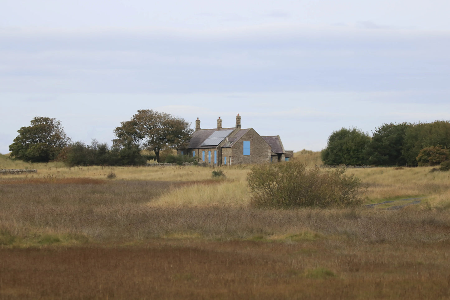 Veras Cottage Lindisfarne surrounded by grassy fields and trees in Northumberland UK landscape