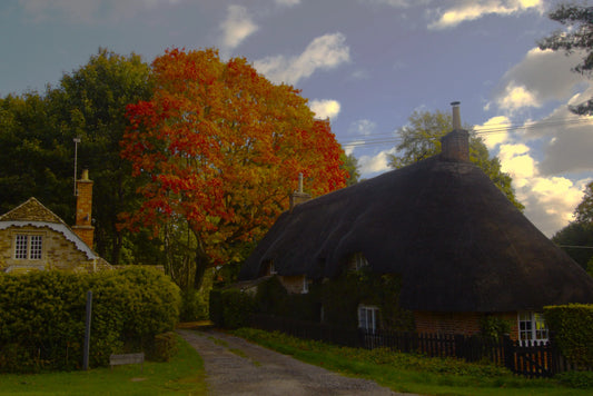 Thatched roof cottage in Wiltshire with autumn trees and country lane under partly cloudy sky