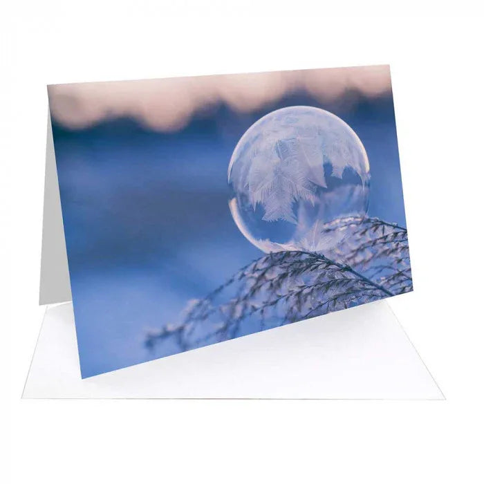 Christmas card featuring a frozen soap bubble with ice crystals on a snow-covered branch at dusk