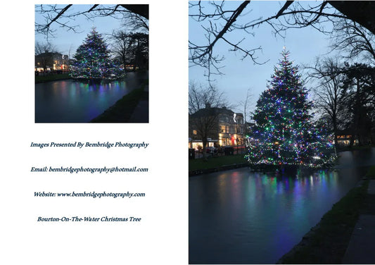 Bourton-On-The-Water Christmas tree decorated with colorful lights, reflected in water at dusk