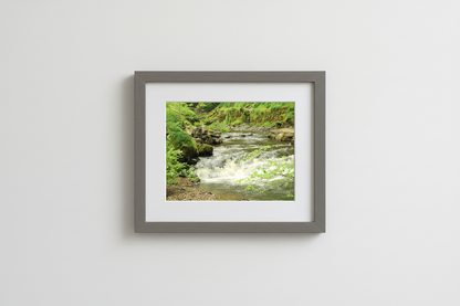 Hardraw Force Rapids Mockup