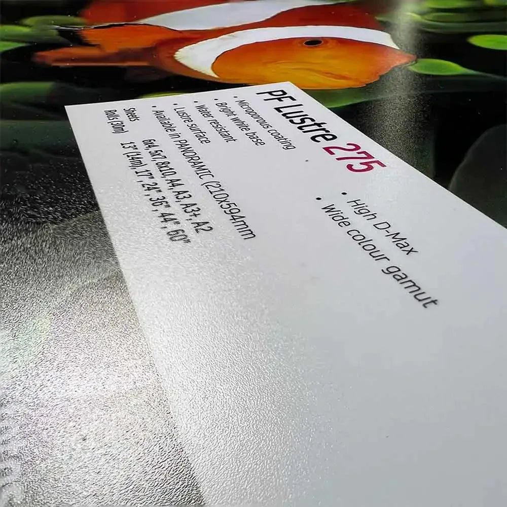 Close-up of PF Lustre 275 fine art paper texture and features with bright clownfish image on glossy surface