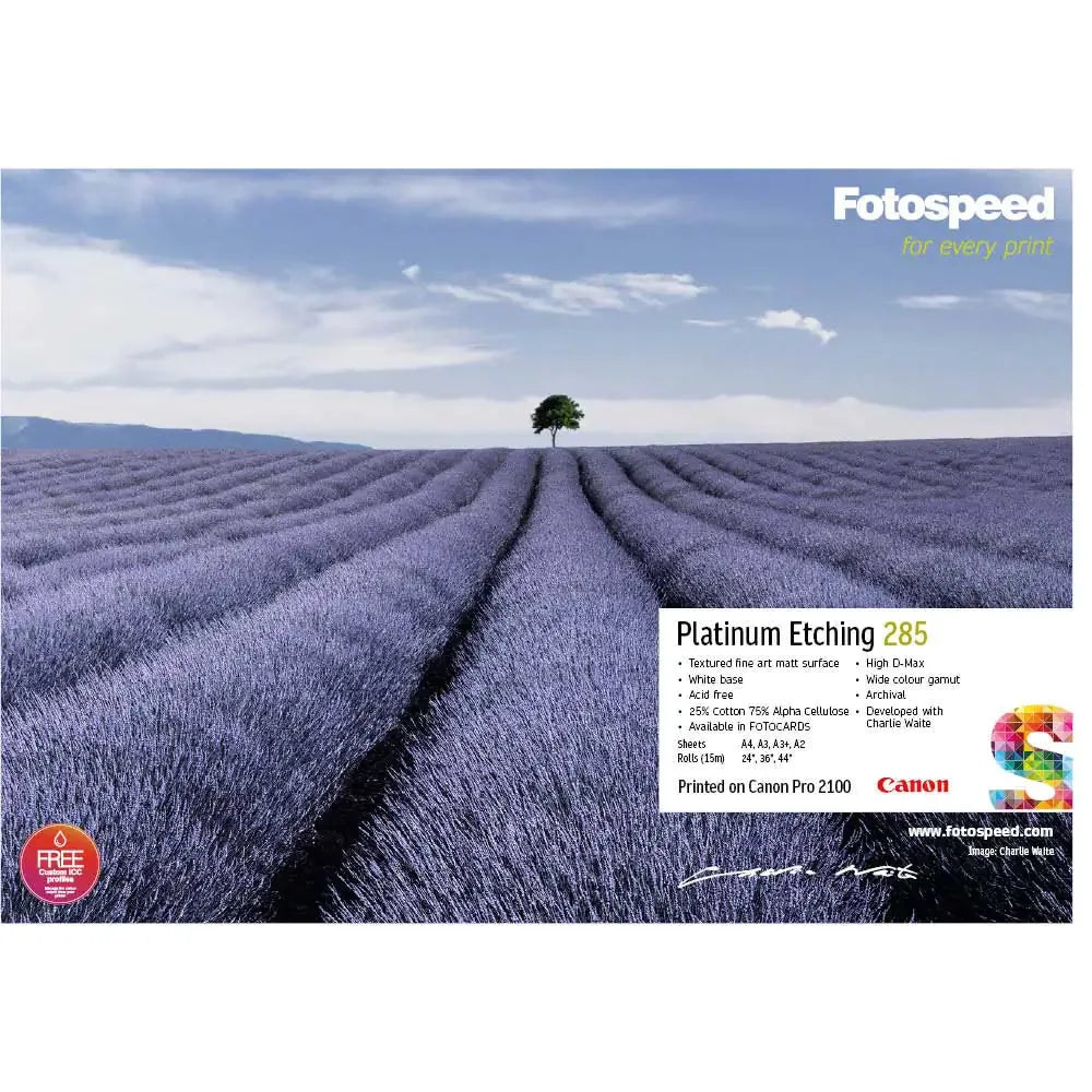 Field of purple lavender with lone tree under blue sky, showcasing Fotospeed Platinum Etching 285 print