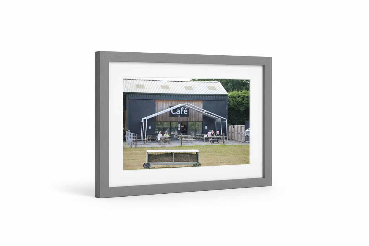 Alpacas at Wolfridge Farm Thornbury South Gloucestershire UK