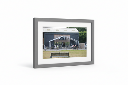 Alpacas at Wolfridge Farm Thornbury South Gloucestershire UK